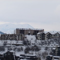Colorado 115